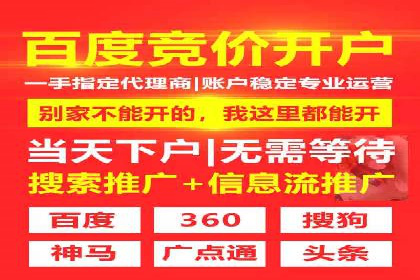 百度竞价推广公司经典案例解析：广告投放策略的智慧